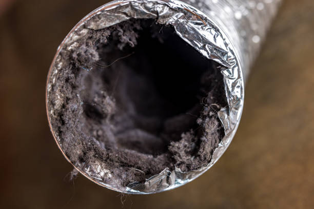 Best Air Vent Cleaning Services  in Gladeview, FL