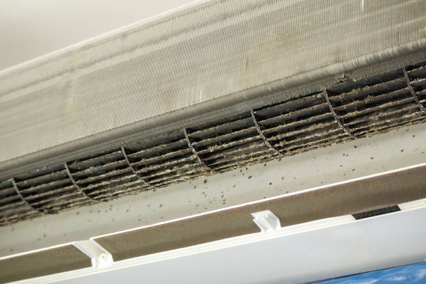 Best Commercial HVAC Duct Cleaning  in Gladeview, FL