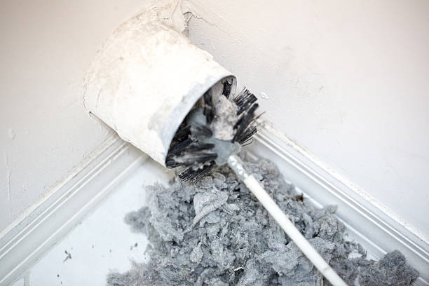 Best Ventilation Cleaning Services  in Gladeview, FL